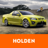 Holden Remapping Thetford