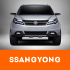 Sangyong Remapping Thetford